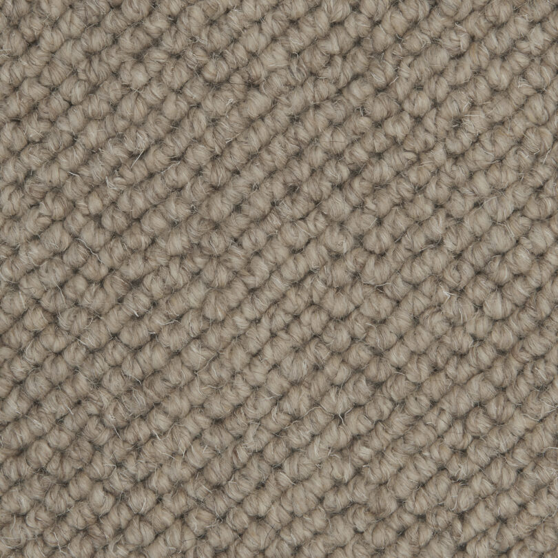 Ambrosia - Image 2