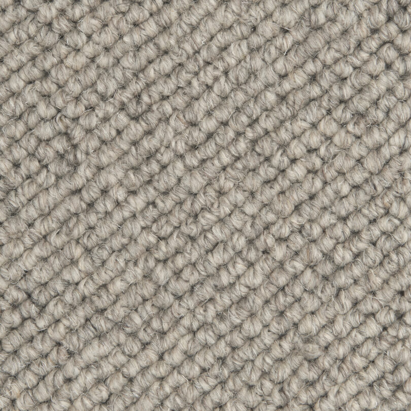 Ambrosia - Image 3