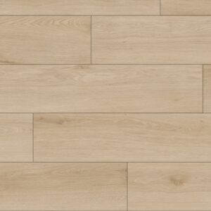 Chevron